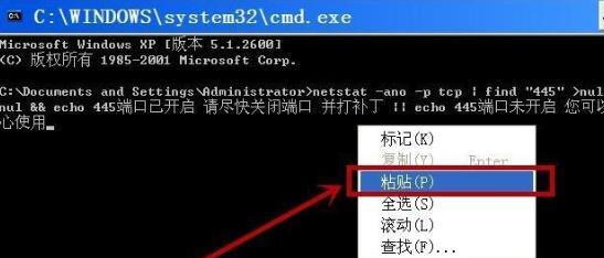 445端口手动关闭方法详解（保护网络安全的关键措施）