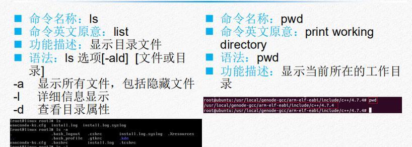 Linux下如何查找文件的目录位置（利用Linux命令快速定位文件所在路径）