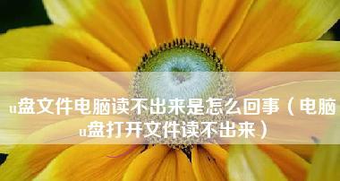 如何修复电脑上无法读取的U盘（快速解决U盘在电脑上无法读取的问题）