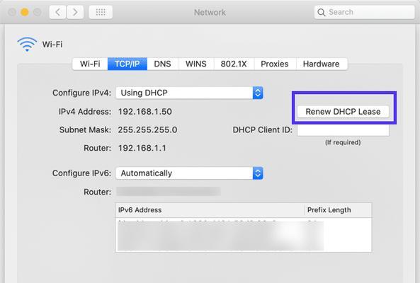 Win10清除DNS缓存命令，解决网络故障效果显著（通过一行简单命令让网络恢复通畅）